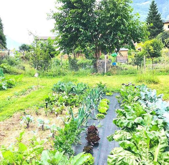 민박 Lotus Oasis I Natural Food & Room Experience