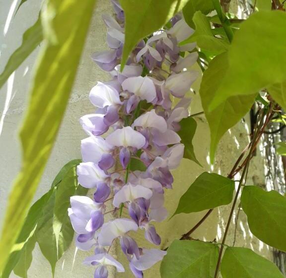 צימר Une Parenthèse En Champagne