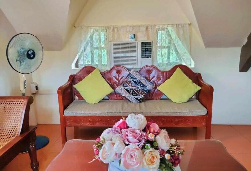 Belfort House B&b