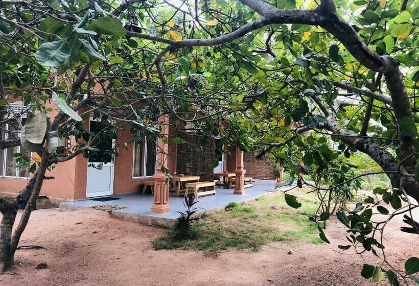 ホテル Wilpattu Wildhideaway