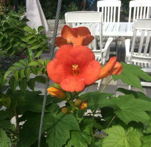 膳宿费 Aux Neuf Saules