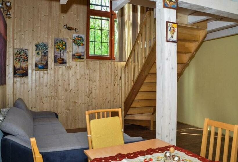 بنسيون Malom Apartman