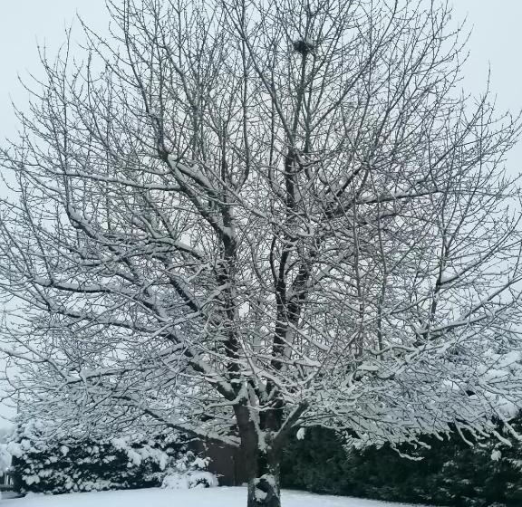 ベッドアンドブレックファースト Le Cerisier