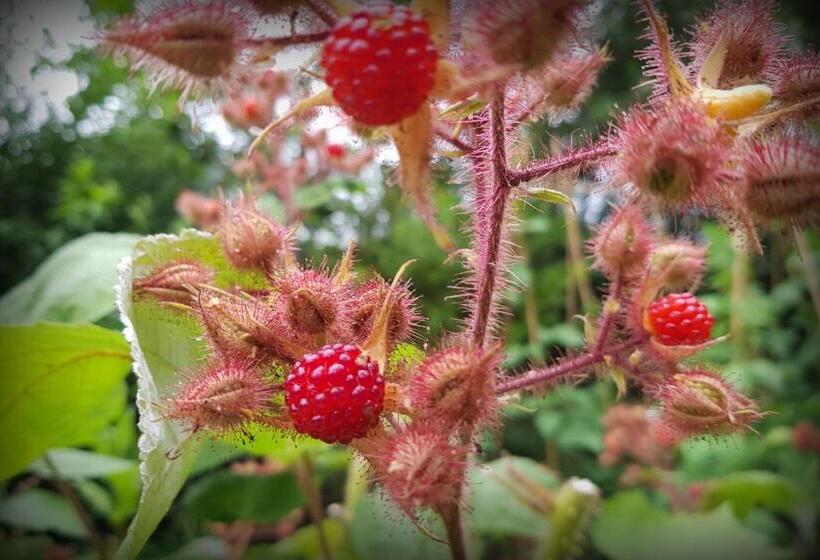 مبيت وإفطار Natuurhuisje  T Poepekrus