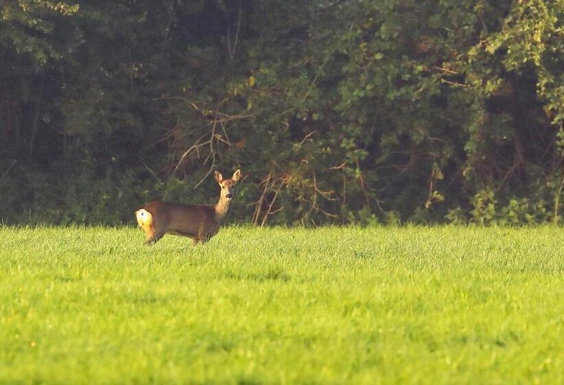 مبيت وإفطار Natuurhuisje  T Poepekrus