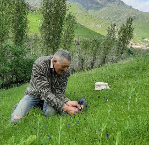 פנסיון Forest Guest House