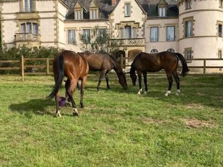 住宿加早餐  Chateau Tout Y Fault