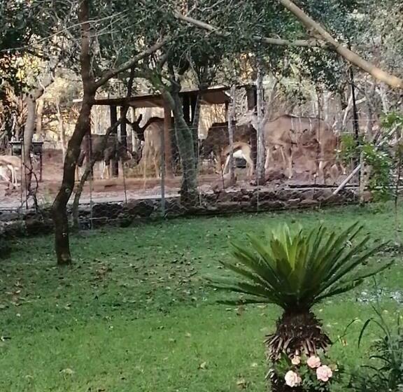 ホテル Sielevreugde