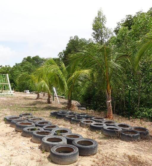 Senta Adventure Camp & Resort