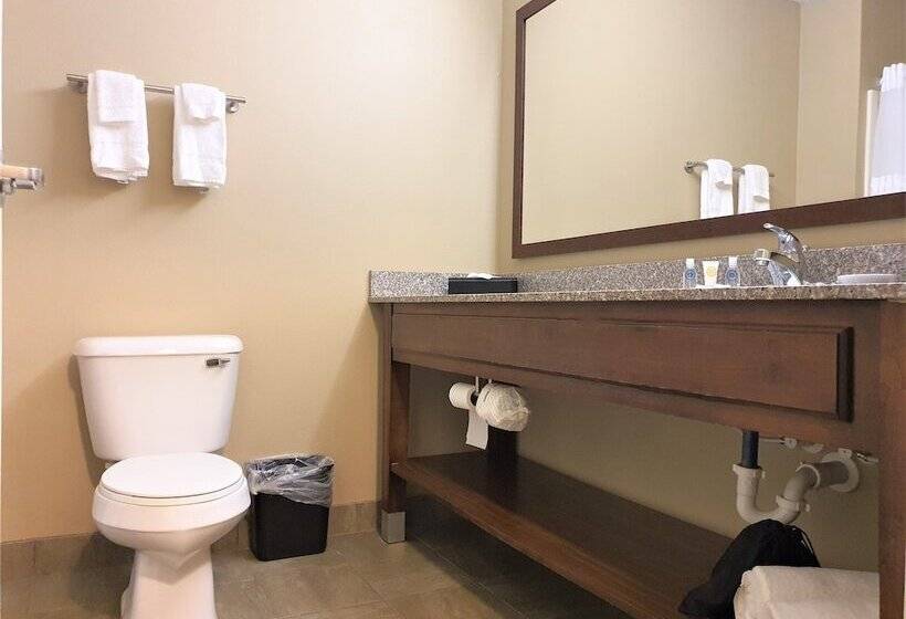 هتل Amerivu Inn And Suites  Chisago City