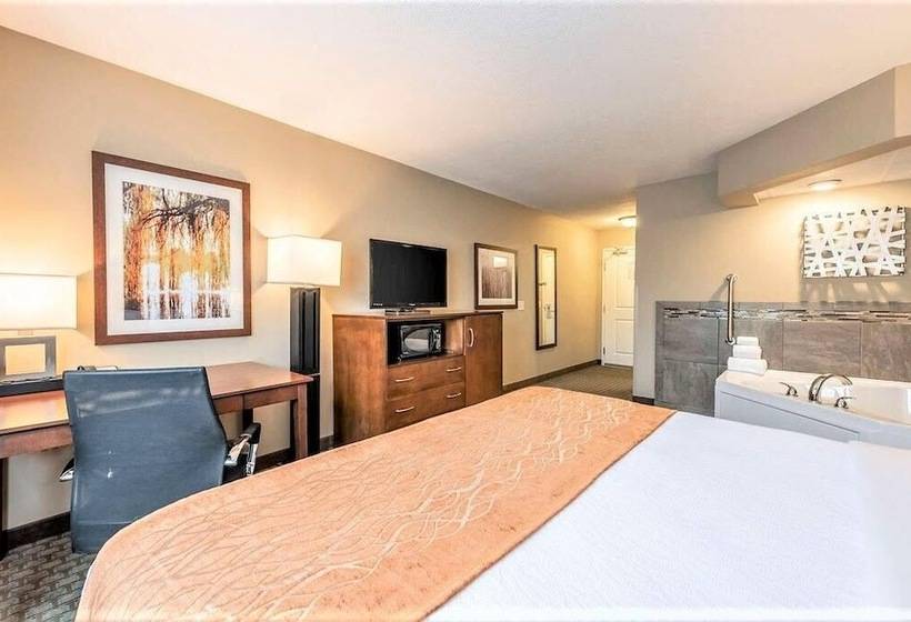 هتل Amerivu Inn And Suites  Chisago City