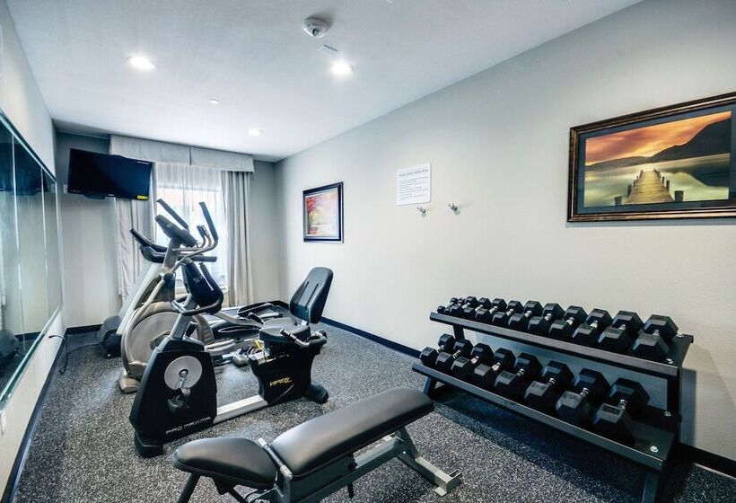 בית מלון כפרי Best Western Casino Inn