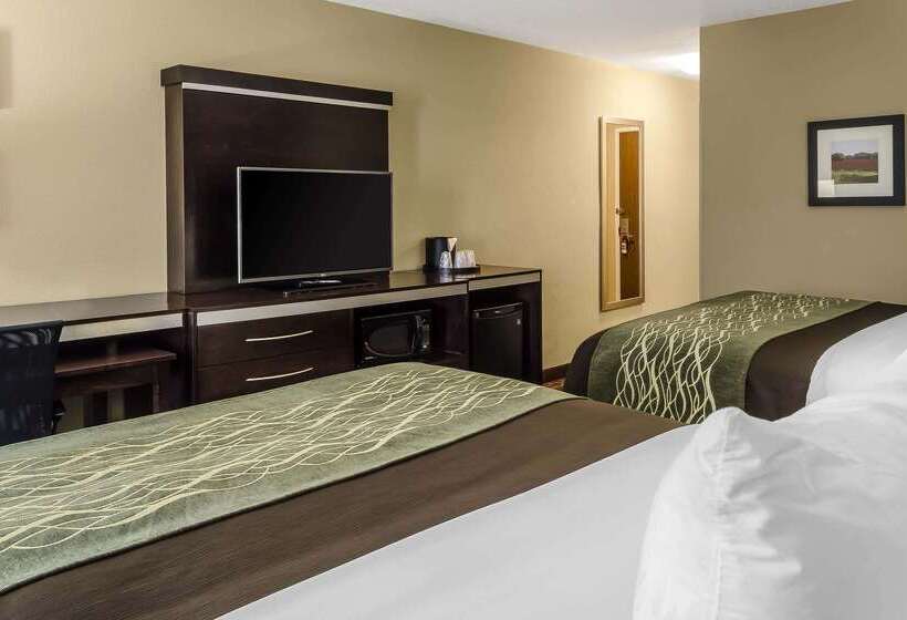 هتل Comfort Inn & Suites Dothan East