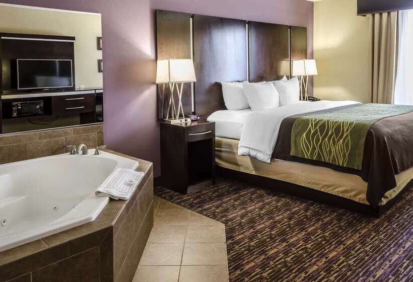 هتل Comfort Inn & Suites Dothan East