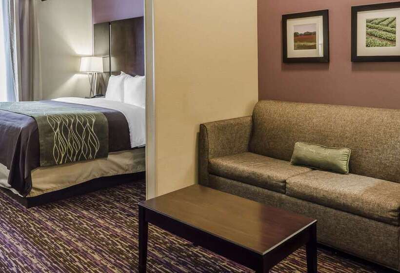 هتل Comfort Inn & Suites Dothan East