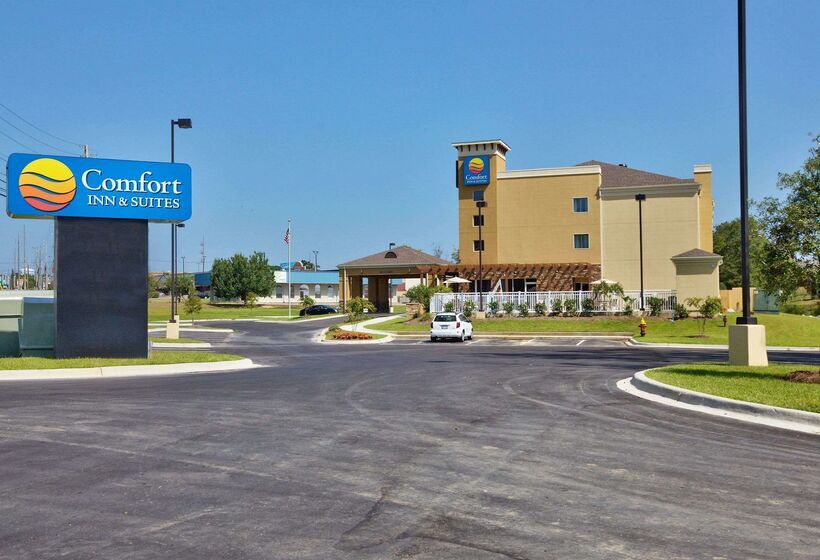 هتل Comfort Inn & Suites Dothan East