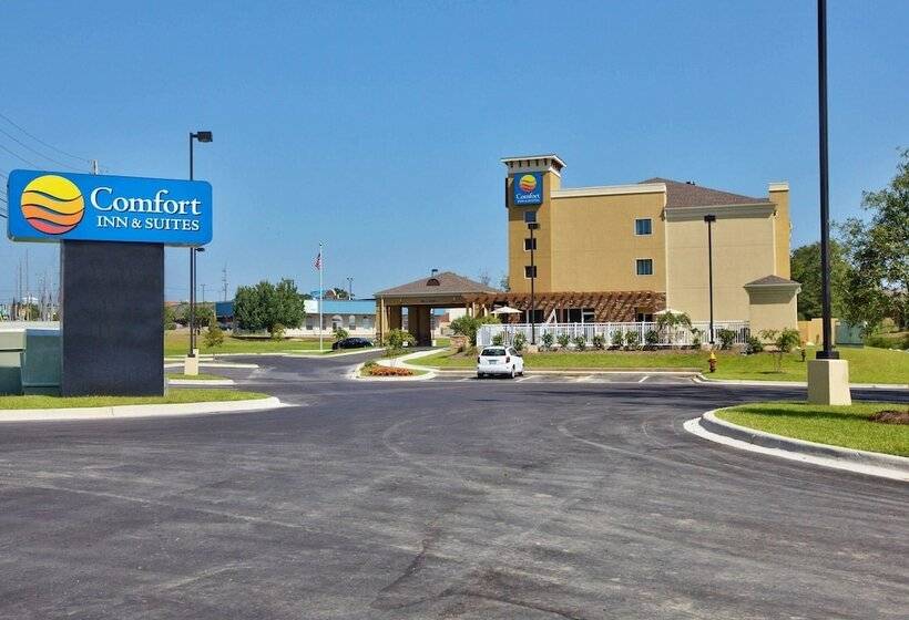 هتل Comfort Inn & Suites Dothan East