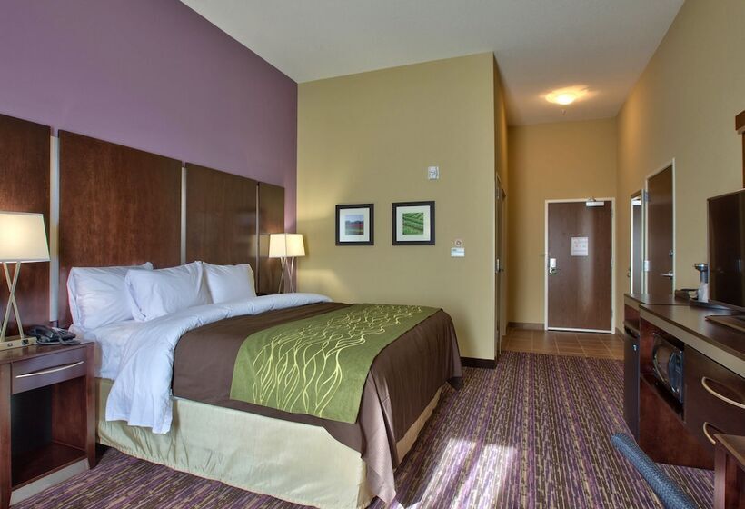 هتل Comfort Inn & Suites Dothan East