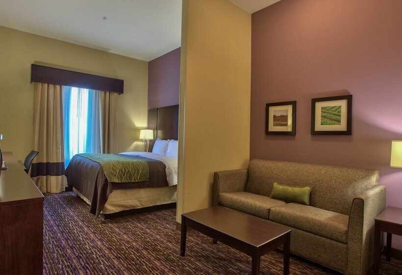 هتل Comfort Inn & Suites Dothan East