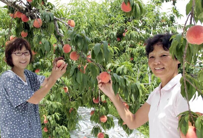 Fotos del hotel Green Mark:  38