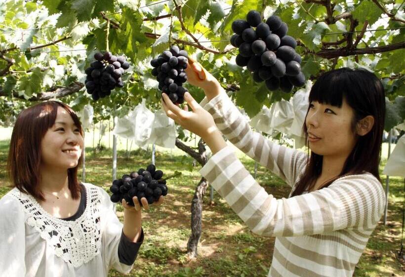 Fotos del hotel Green Mark:  8