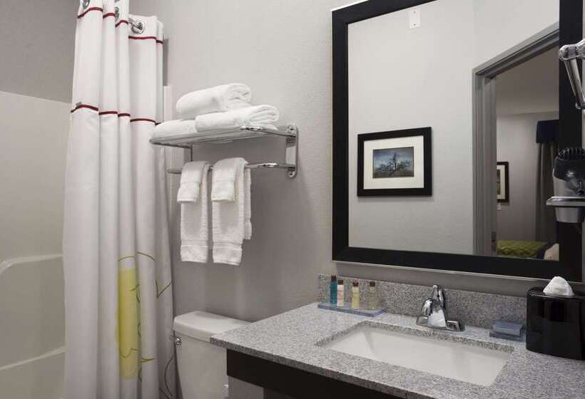 Hotel Hawthorn Suites By Wyndham San Angelo