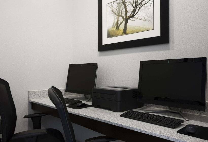 בית מלון כפרי Hawthorn Suites By Wyndham San Angelo