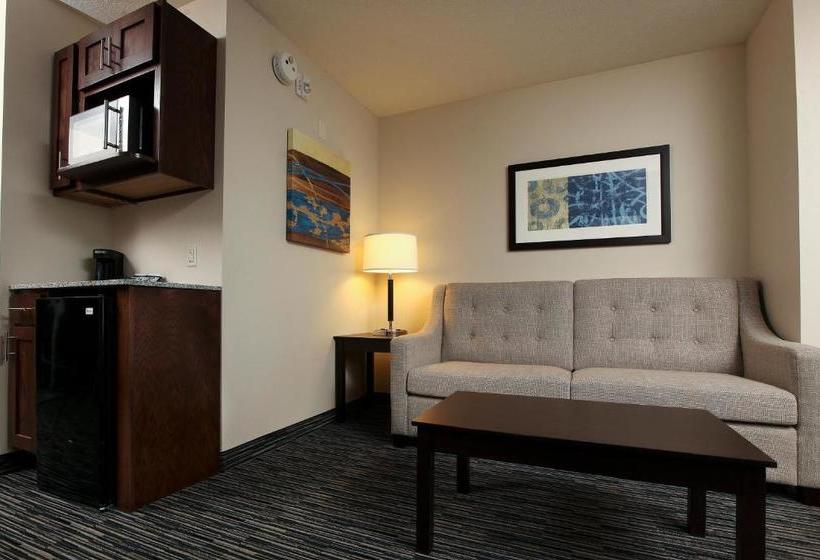 فندق Holiday Inn Express & Suites Omaha South Ralston Arena, An Ihg