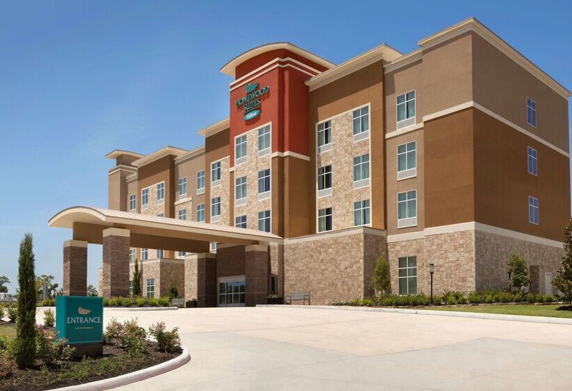 Hotel Homewood Suites By Hilton North Houston/spring