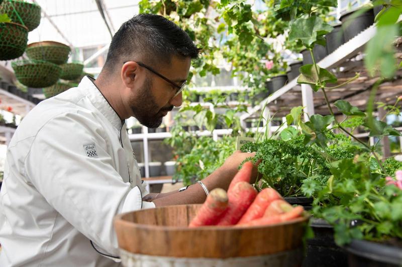 فندق Jw Marriott Mussoorie Walnut Grove Resort & Spa