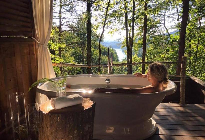 Отель Lakeview At Fontana A Rustic Mountain Inn & Spa