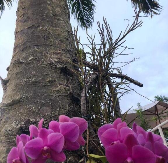 هتل Morro De Sao Paulo