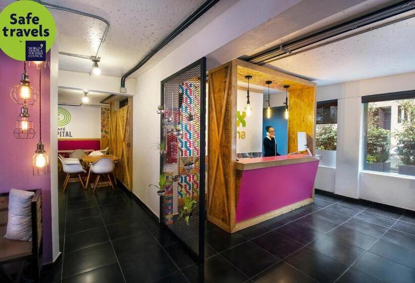 Fotos del hotel Mx Roma:  17