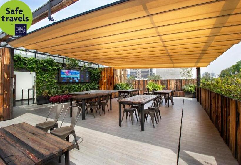 Fotos del hotel Mx Roma:  24