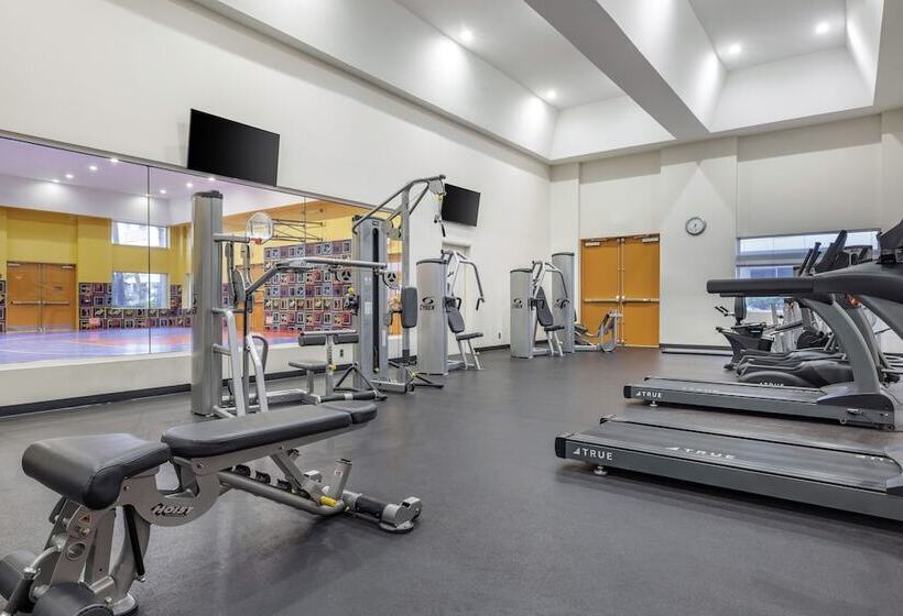 בית מלון כפרי Hilton Vacation Club Palm Canyon Palm Springs