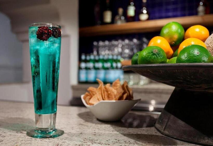 בית מלון כפרי Triada Palm Springs, Autograph Collection