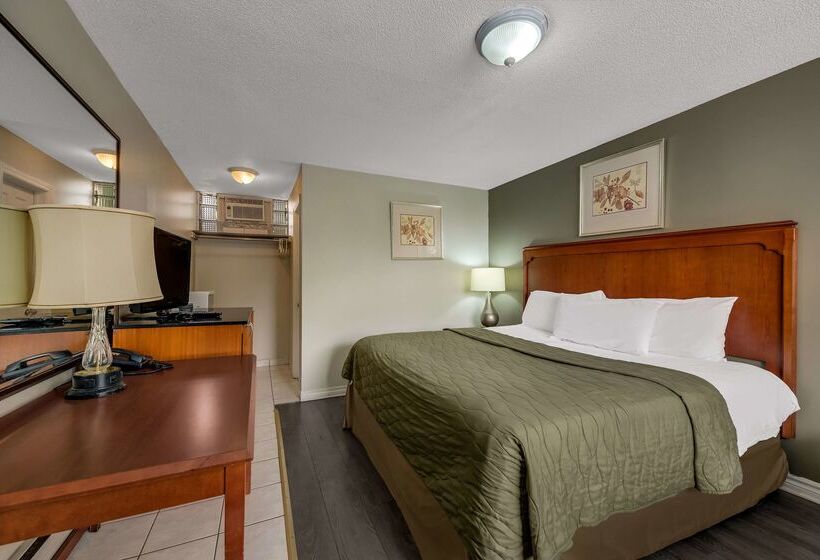 Motel Knights Inn  Burlington On