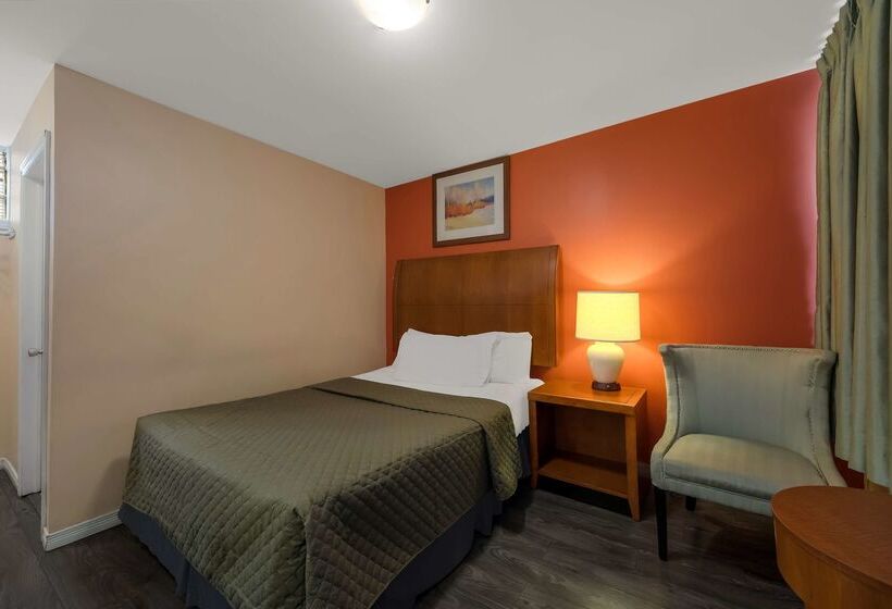 Motel Knights Inn  Burlington On