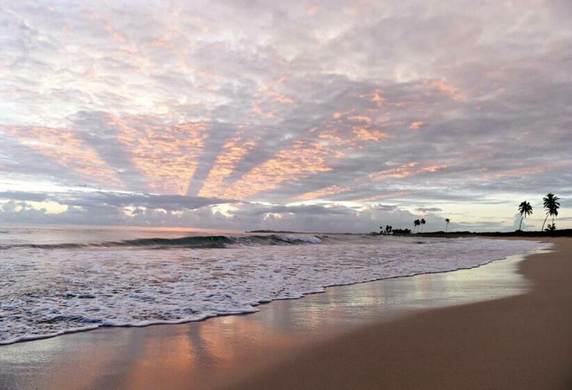 Fotos del hotel Royalton Chic Punta Cana Resort & Spa  Adults Only  All Inclusive:  6