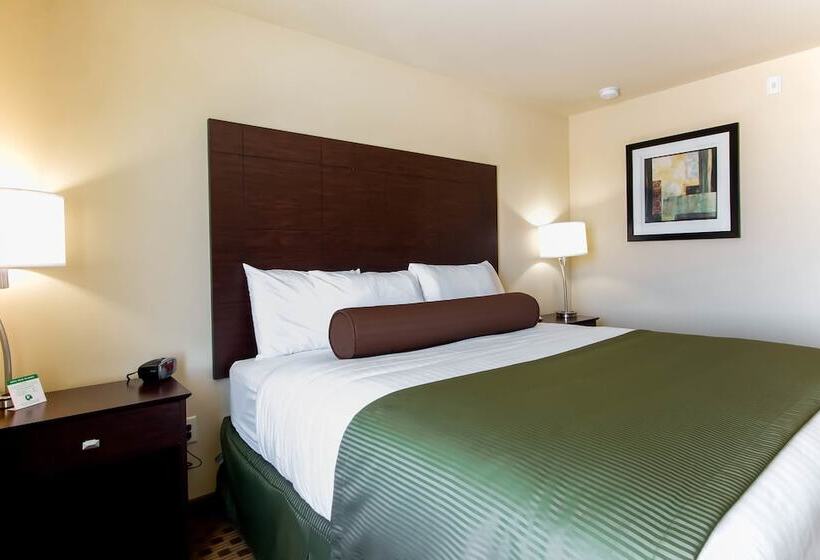 בית מלון כפרי Cobblestone Inn & Suites   Eads