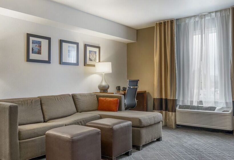 هتل Comfort Suites Redding  Shasta Lake