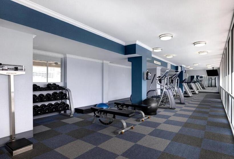 Fotos del hotel Holiday Inn Houston Downtown, An Ihg:  17