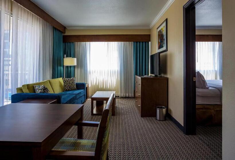 Fotos del hotel Holiday Inn Houston Downtown, An Ihg:  32