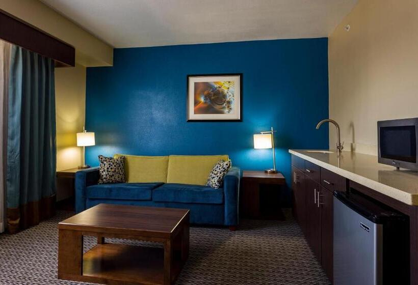 Fotos del hotel Holiday Inn Houston Downtown, An Ihg:  37