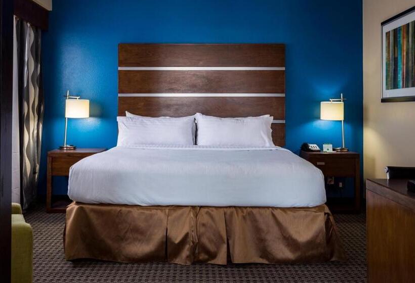 Fotos del hotel Holiday Inn Houston Downtown, An Ihg:  52