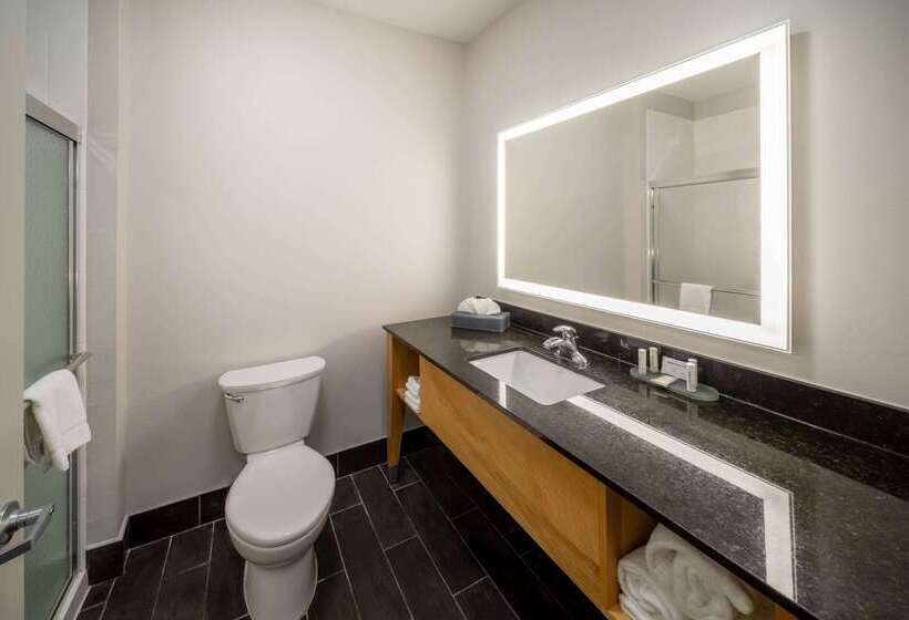 هتل La Quinta By Wyndham Wichita Falls   Msu Area