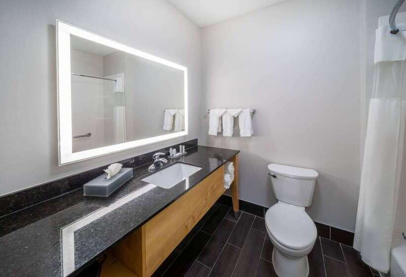هتل La Quinta By Wyndham Wichita Falls   Msu Area
