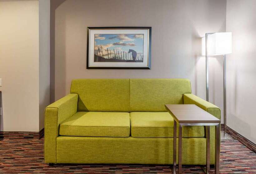 هتل La Quinta By Wyndham Wichita Falls   Msu Area