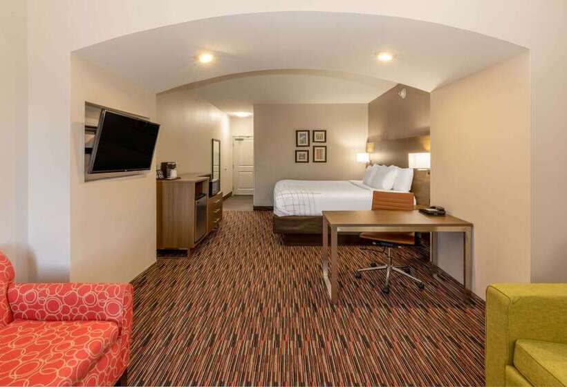 هتل La Quinta By Wyndham Wichita Falls   Msu Area