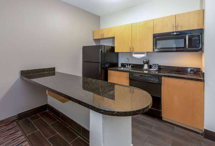 هتل La Quinta By Wyndham Wichita Falls   Msu Area